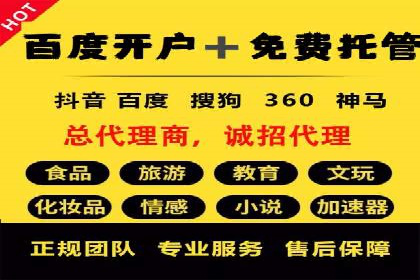 SEM主管实战技巧：案例分享与解读